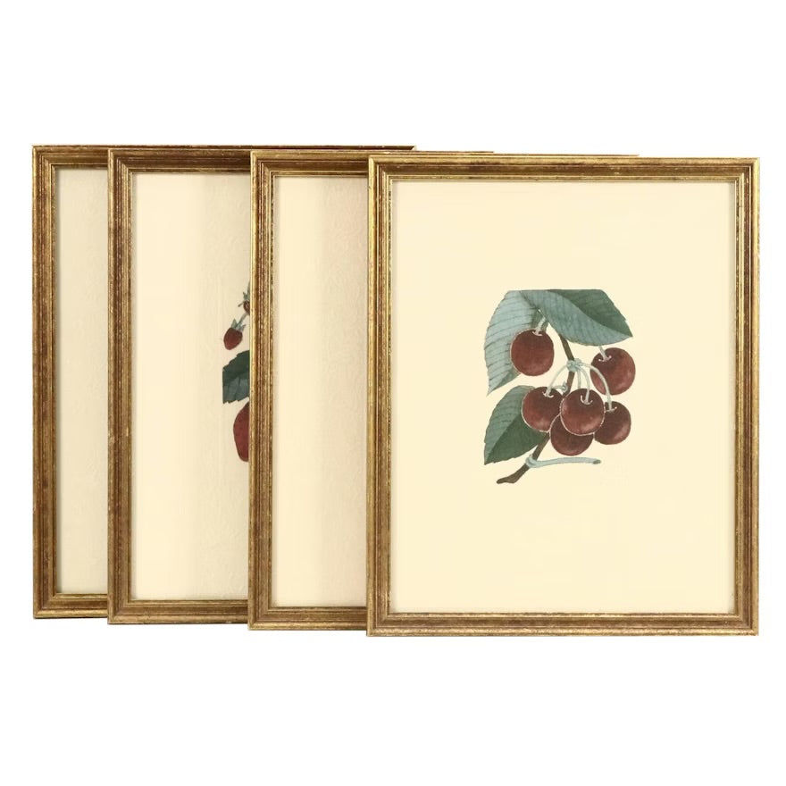 Fruit compositions, late 20th century Four photomechanical prints on embossed paper