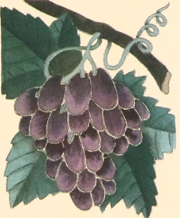 Fruit compositions, late 20th century Four photomechanical prints on embossed paper