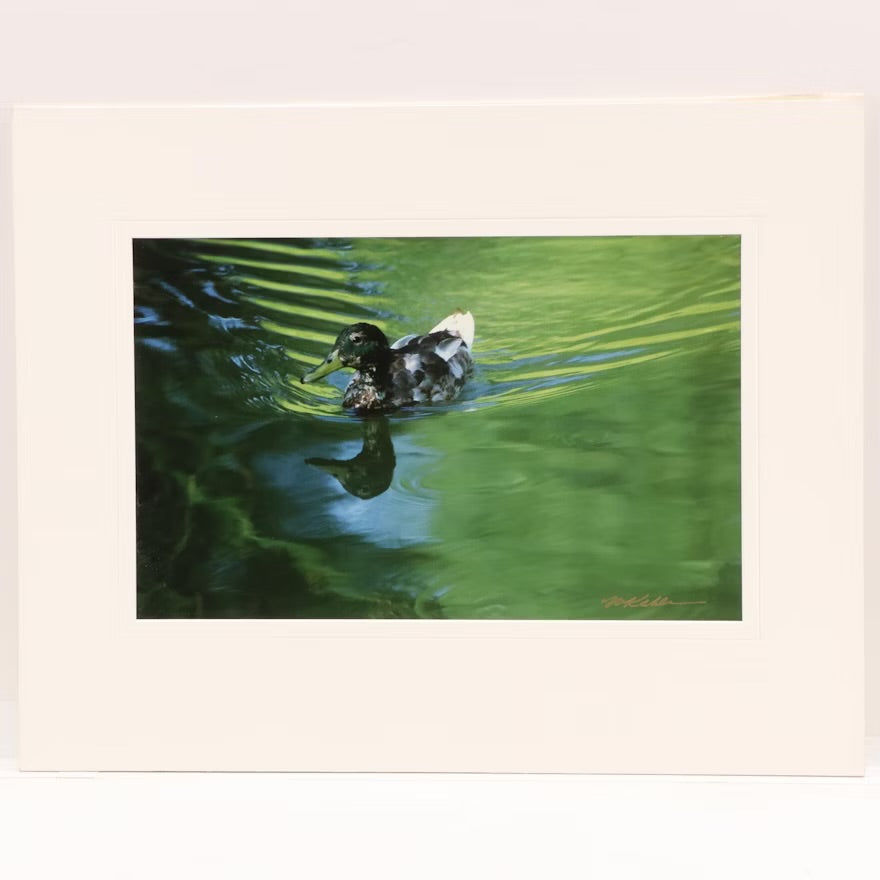 Warren Kahle Chromogenic Color Photograph "Green Water Reflection," More
