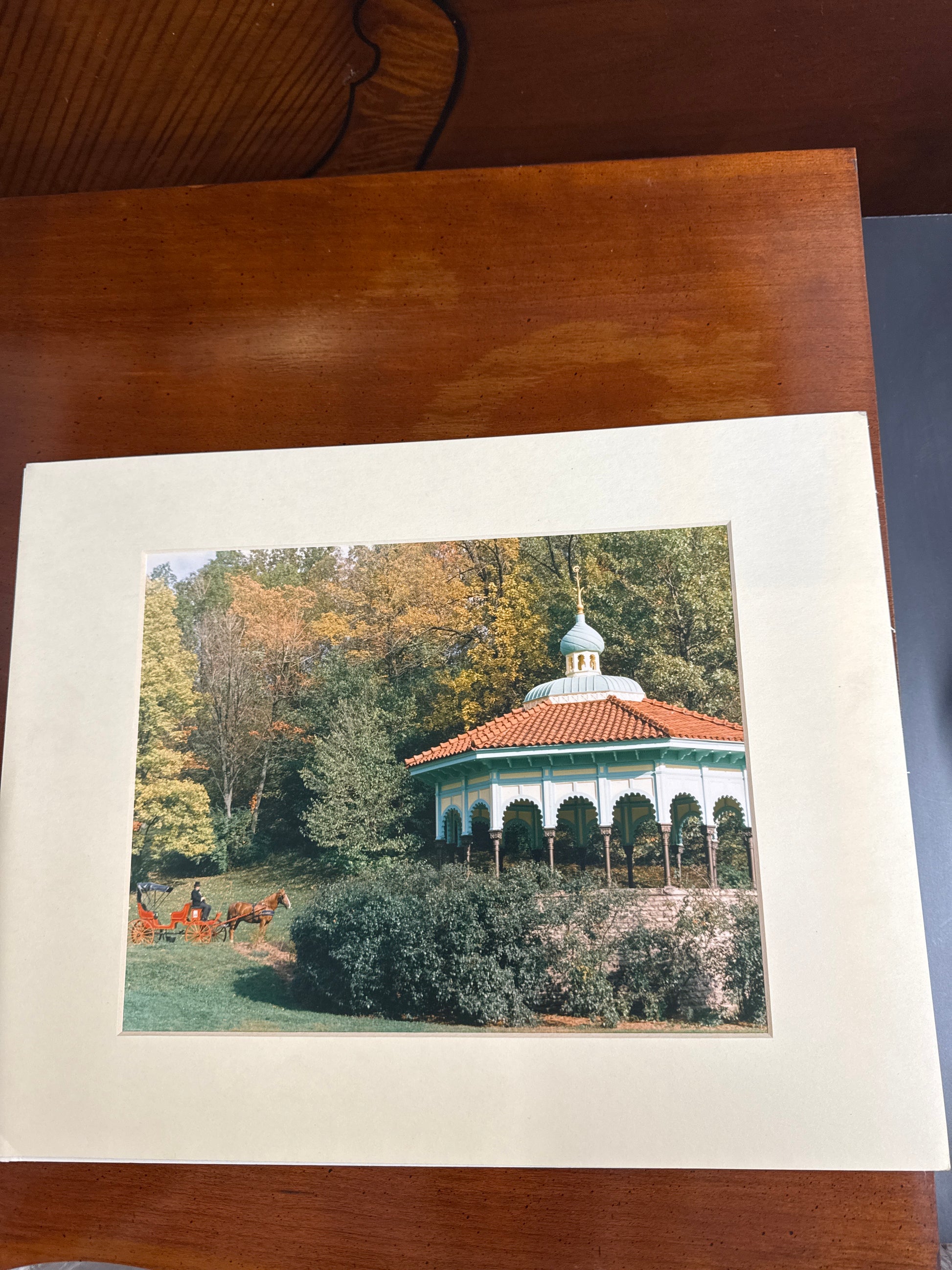 Green Horse & Buggy Picture