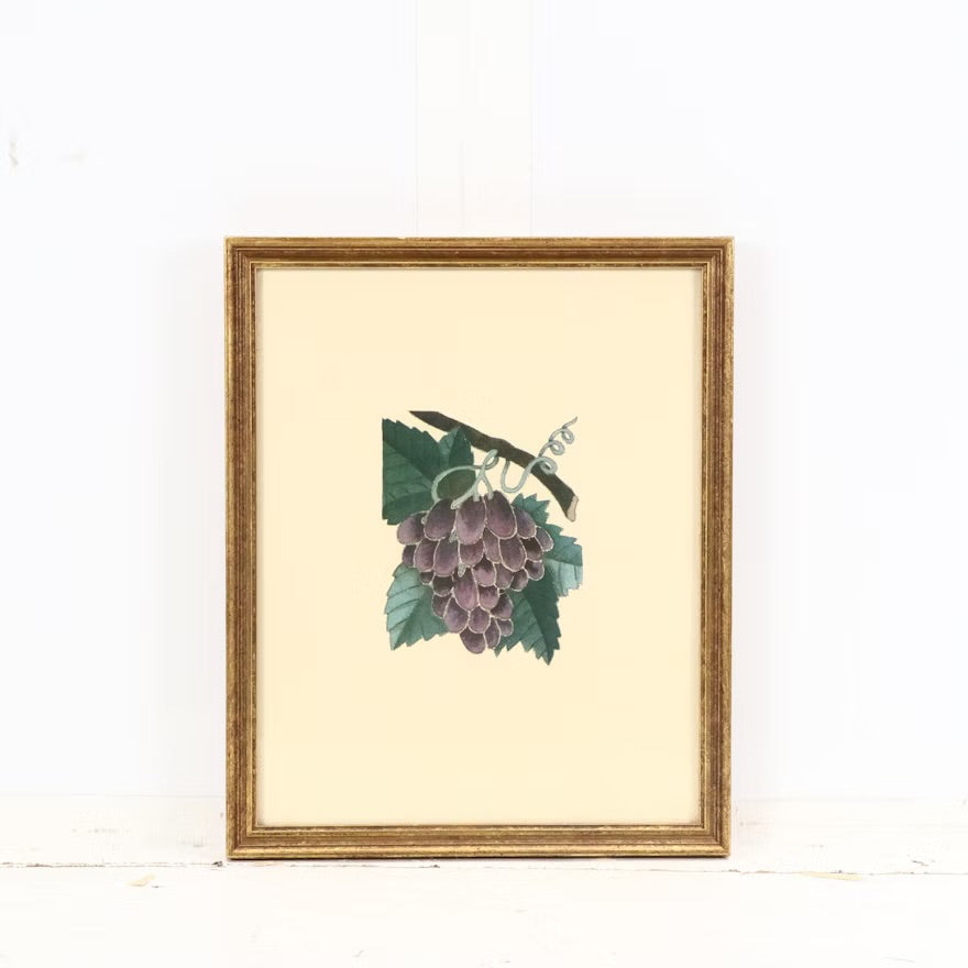 Fruit compositions, late 20th century Four photomechanical prints on embossed paper