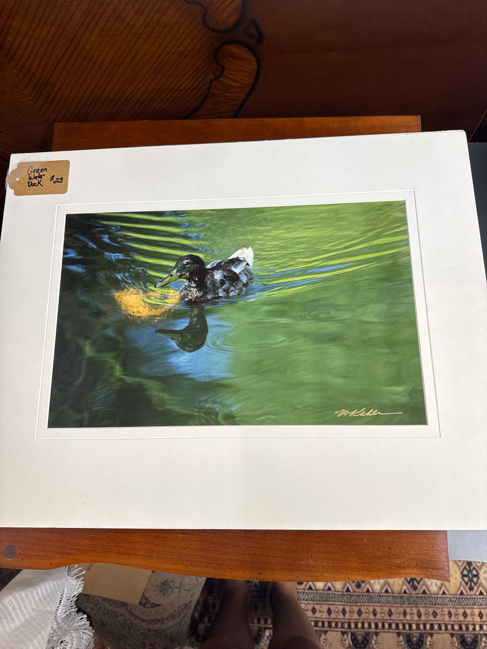 Water Reflection Duck