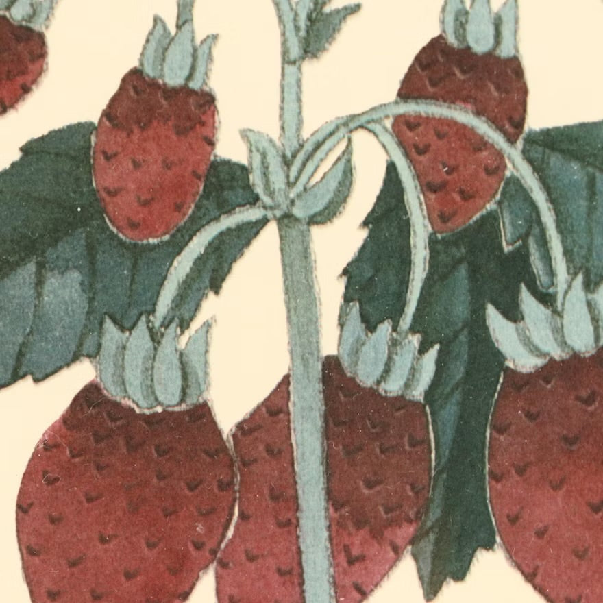 Fruit compositions, late 20th century Four photomechanical prints on embossed paper