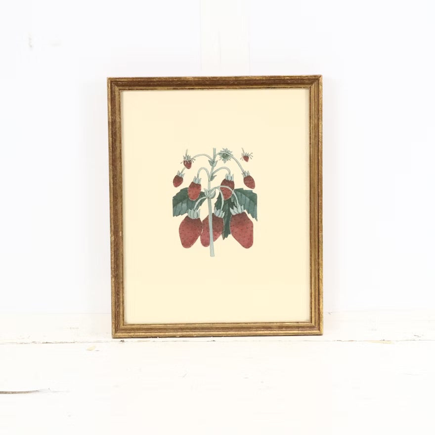 Fruit compositions, late 20th century Four photomechanical prints on embossed paper