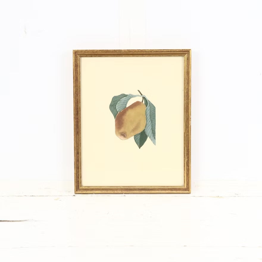 Fruit compositions, late 20th century Four photomechanical prints on embossed paper