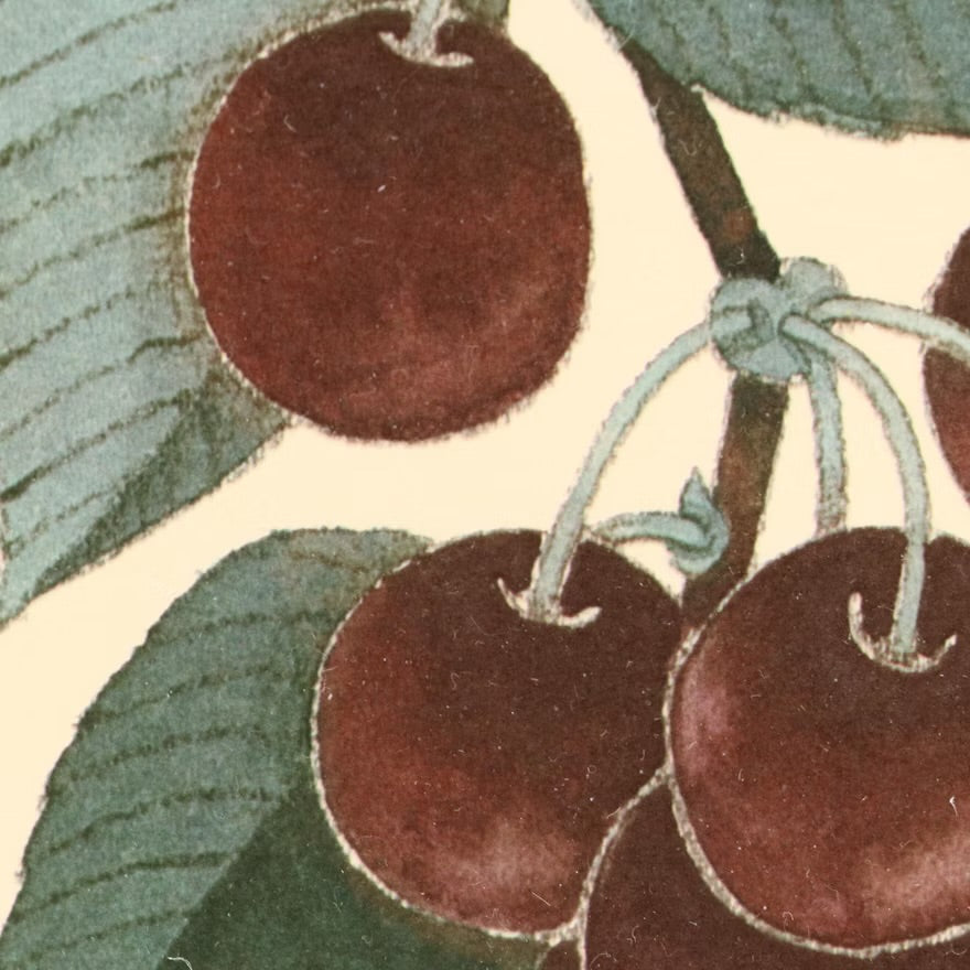 Fruit compositions, late 20th century Four photomechanical prints on embossed paper